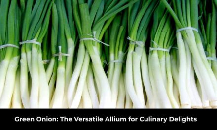 Green Onion: The Versatile Allium for Culinary Delights
