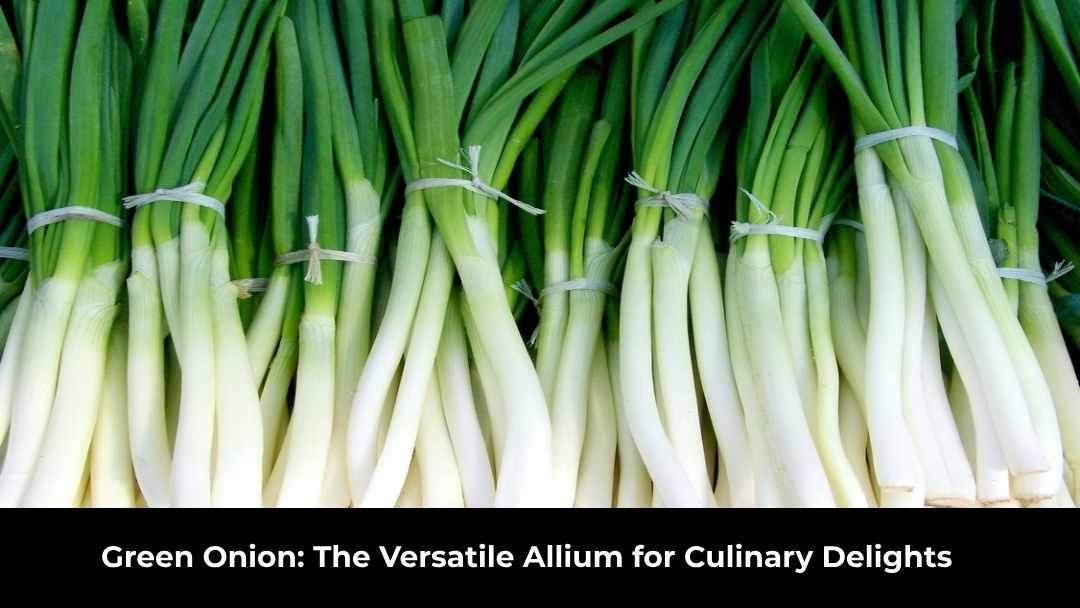 Green Onion: The Versatile Allium for Culinary Delights