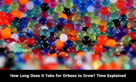How Long Does It Take for Orbeez to Grow? Time Explained
