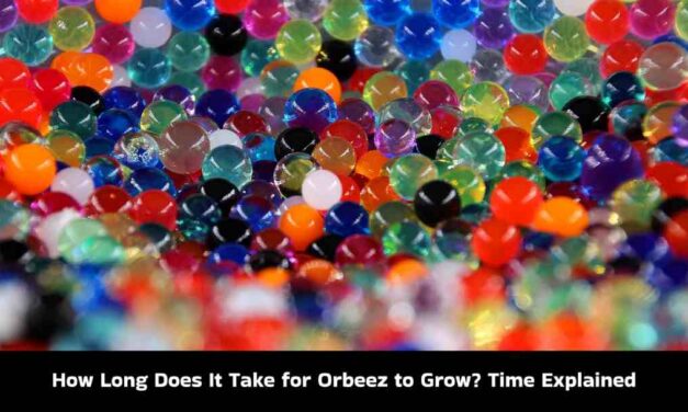 How Long Does It Take for Orbeez to Grow? Time Explained