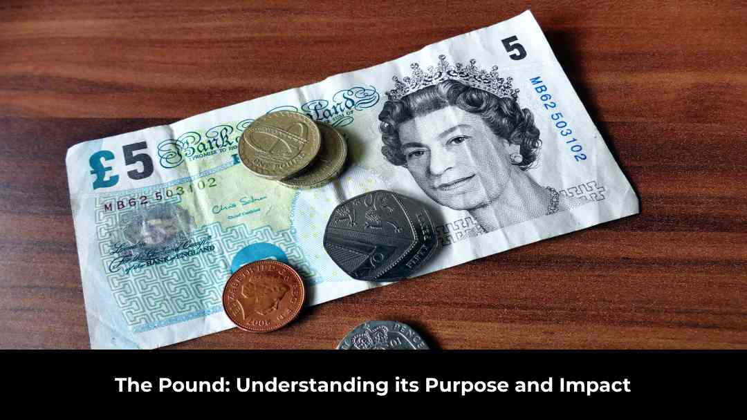 The Pound: Understanding its Purpose and Impact