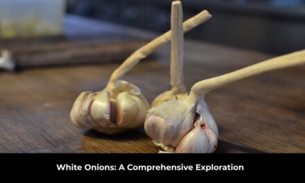 White Onion: A Comprehensive Exploration