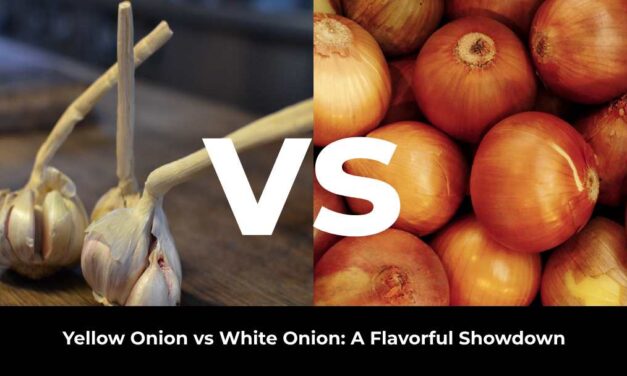 Yellow Onion vs White Onion: A Flavorful Showdown