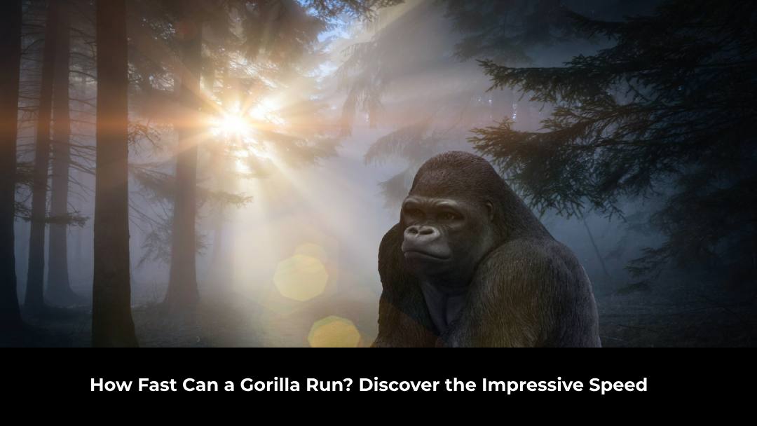 How Fast Can a Gorilla Run? Discover the Impressive Speed