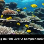 How Long Do Fish Live? A Comprehensive Guide